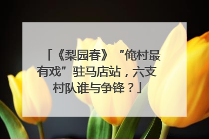 《梨园春》“俺村最有戏”驻马店站，六支村队谁与争锋？