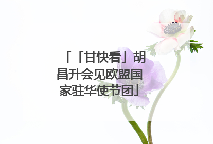 「甘快看」胡昌升会见欧盟国家驻华使节团
