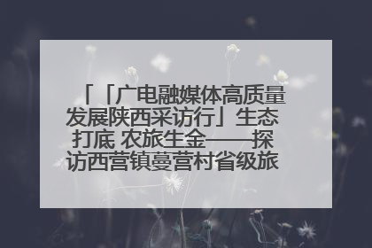 「广电融媒体高质量发展陕西采访行」生态打底 农旅生金——探访西营镇蔓营村省级旅游示范村的振兴密码