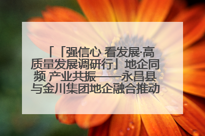 「强信心 看发展·高质量发展调研行」地企同频 产业共振——永昌县与金川集团地企融合推动重大项目建设