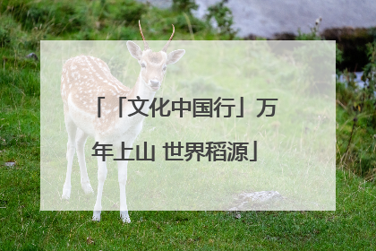 「文化中国行」万年上山 世界稻源