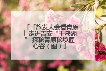 「旅发大会看青原」走进吉安“千岛湖” 探秘青原秘境匠心谷（图）