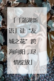 「蒲湖新语」让“友城之花”跨海向阳，尽情绽放