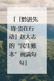 「黔进先锋·贵在行动」赵大志的“民生账本”画满勾勾