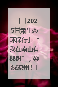 「2025甘肃生态环保行」“我在南山有棵树”，染绿凉州！