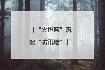 “火焰蓝”筑起“防汛墙”