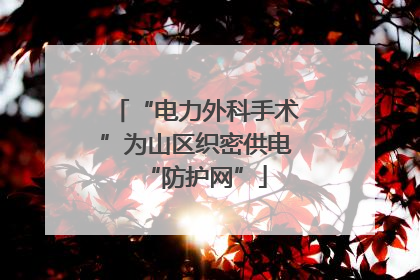 “电力外科手术”为山区织密供电“防护网”