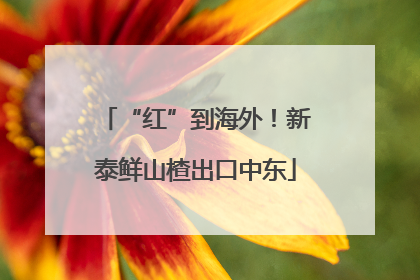 “红”到海外！新泰鲜山楂出口中东
