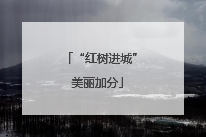 “红树进城” 美丽加分