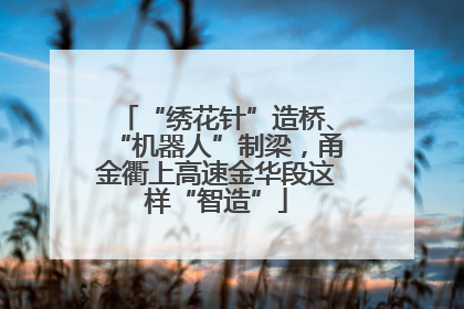 “绣花针”造桥、“机器人”制梁，甬金衢上高速金华段这样“智造”
