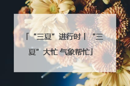 “三夏”进行时丨“三夏”大忙 气象帮忙