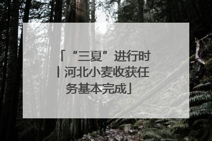 “三夏”进行时丨河北小麦收获任务基本完成