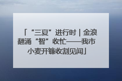 “三夏”进行时｜金浪翻涌“智”收忙——我市小麦开镰收割见闻