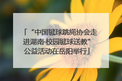 “中国毽球跳绳协会走进湖南·校园毽球送教”公益活动在岳阳举行