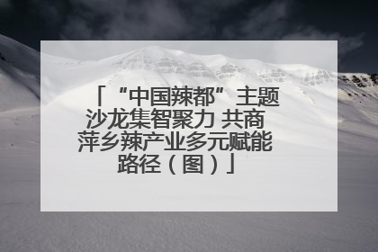 “中国辣都”主题沙龙集智聚力 共商萍乡辣产业多元赋能路径（图）