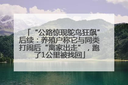 “公路惊现鸵鸟狂飙”后续：养殖户称它与同类打闹后“离家出走”，跑了1公里被找回