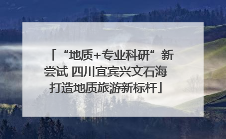 “地质+专业科研”新尝试 四川宜宾兴文石海打造地质旅游新标杆