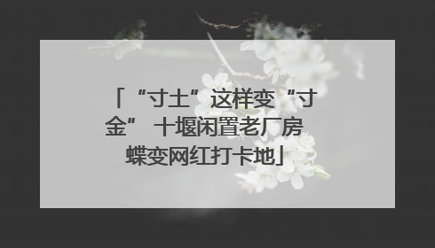 “寸土”这样变“寸金” 十堰闲置老厂房蝶变网红打卡地