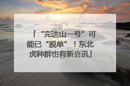 “完达山一号”可能已“脱单”！东北虎种群也有新喜讯