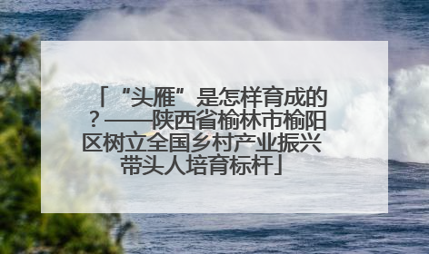 “头雁”是怎样育成的？——陕西省榆林市榆阳区树立全国乡村产业振兴带头人培育标杆