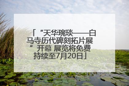 “天华琬琰——白马寺历代碑刻拓片展”开幕 展览将免费持续至7月20日