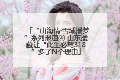 “山海情·雪域援梦”系列报道④ 山东援藏让“此生必驾318”多了N个理由