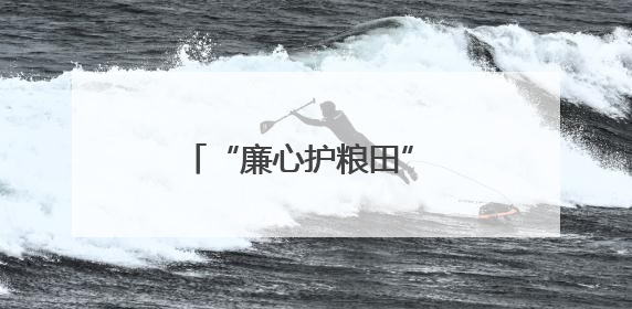 “廉心护粮田” 德阳广汉整治群腐问题筑牢民生底线