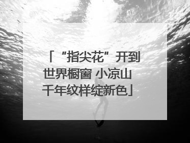 “指尖花”开到世界橱窗 小凉山千年纹样绽新色