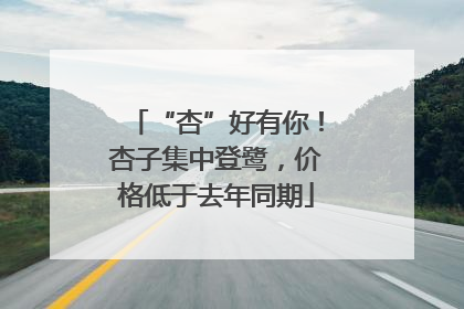 “杏”好有你！杏子集中登鹭，价格低于去年同期