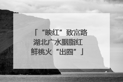“映红”致富路 湖北广水胭脂红鲜桃火“出圈”