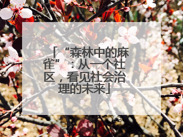 “森林中的麻雀”：从一个社区，看见社会治理的未来
