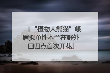 “植物大熊猫”峨眉拟单性木兰在野外回归点首次开花