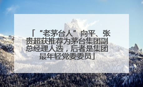 “老茅台人”向平、张贵超获推荐为茅台集团副总经理人选，后者是集团最年轻党委委员