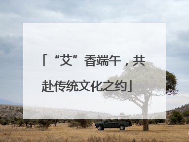 “艾”香端午，共赴传统文化之约