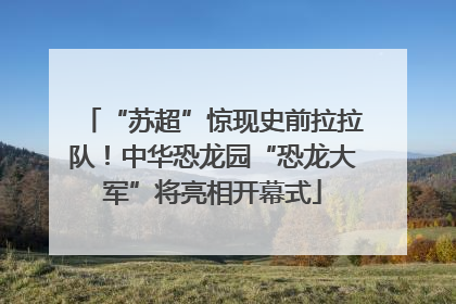 “苏超”惊现史前拉拉队！中华恐龙园“恐龙大军”将亮相开幕式