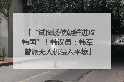 “试图诱使朝鲜进攻韩国”！韩议员：韩军曾派无人机侵入平壤