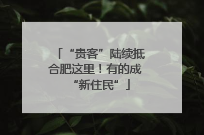 “贵客”陆续抵合肥这里！有的成“新住民”
