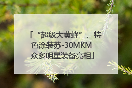 “超级大黄蜂”、特色涂装苏-30MKM 众多明星装备亮相