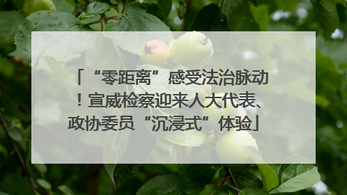 “零距离”感受法治脉动！宣威检察迎来人大代表、政协委员“沉浸式”体验