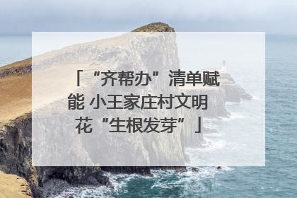 “齐帮办”清单赋能 小王家庄村文明花“生根发芽”