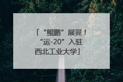“鲲鹏”展翼！“运-20”入驻西北工业大学