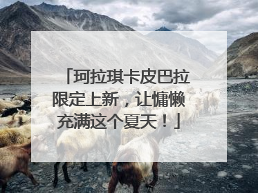 珂拉琪卡皮巴拉限定上新，让慵懒充满这个夏天！
