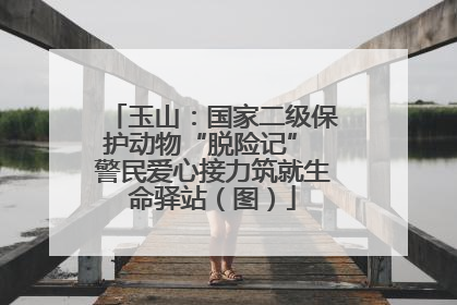 玉山：国家二级保护动物“脱险记” 警民爱心接力筑就生命驿站（图）