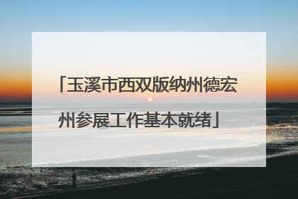 玉溪市西双版纳州德宏州参展工作基本就绪