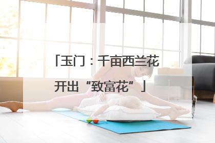 玉门：千亩西兰花开出“致富花”