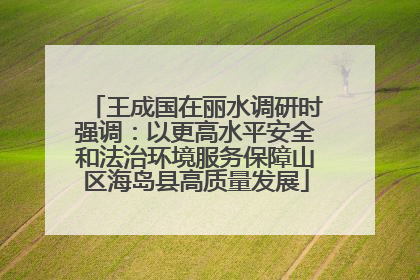 王成国在丽水调研时强调：以更高水平安全和法治环境服务保障山区海岛县高质量发展