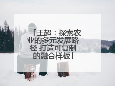 王超：探索农业的多元发展路径 打造可复制的融合样板