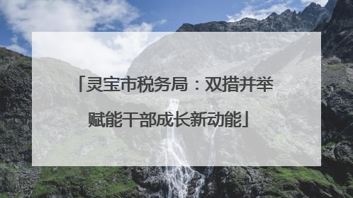 灵宝市税务局：双措并举 赋能干部成长新动能