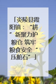 炎陵县霞阳镇：“耕”新聚力护粮仓 筑牢粮食安全“压舱石”