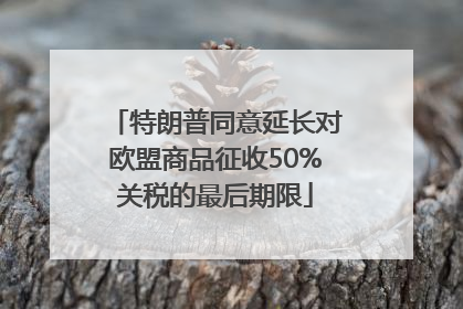 特朗普同意延长对欧盟商品征收50%关税的最后期限